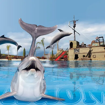 Apartman Pierre & Horizon Benidorm